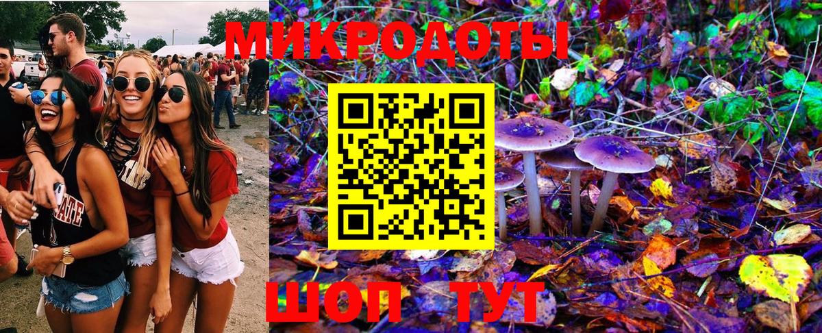Кандалакша  Галлюциногенные грибы GOLDEN TEACHER  Вход с VPN 